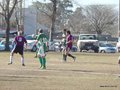 AFUCO17F 076