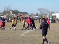 AFUCO17F 208