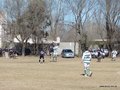 AFUCO17F 034