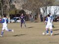 AFUCO17F 225