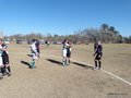 AFUCO17F 012