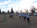 AFUCO18F 293