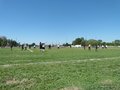 P1090540