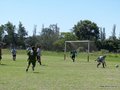 AFUCO 002