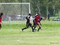 AFUCO 013