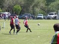 AFUCO 032