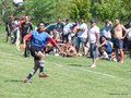 AFUCO 041