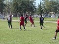 AFUCO 011