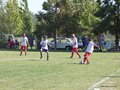 AFUCO5F 067