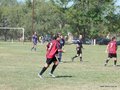 AFUCO6F 088