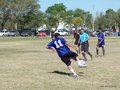 AFUCO6F 046