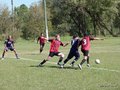 AFUCO6F 101