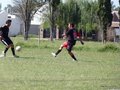 AFUCO6F 010