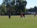 AFUCO6F 008