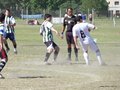 AFUCO6F 033
