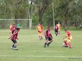 AFUCO7F 085