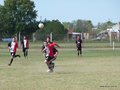 AFUCO8F 110