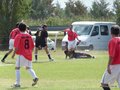 AFUCO8F 042