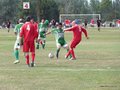 AFUCO8F 010