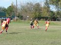 AFUCO9F 006