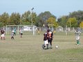 AFUCO9F 117