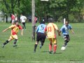 AFUCO10FC 005