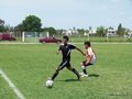 AFUCO11FC 055