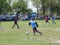AFUCO12FC 074