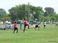 AFUCO12FC 043