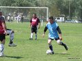 AFUCO12FC 081