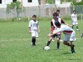 AFUCO12FC 035
