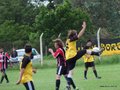 AFUCO13FC 016