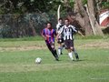AFUCO15FC 008