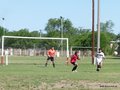AFUCO15FC 065