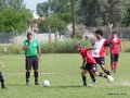 AFUCO16FC 041
