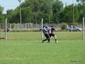 AFUCO16FC 026