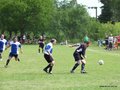 AFUCO16FC 099