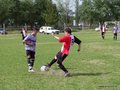 AFUCO16FC 031
