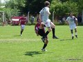 AFUCO17FC 024