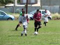 AFUCO17FC 018