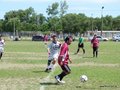 AFUCO17FC 013