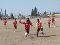 AFUCO2FC 033