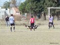 AFUCO3FC 028