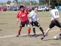 AFUCO3FC 048