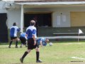 AFUCO3FC 115