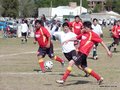AFUCO3FC 042