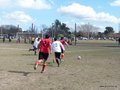 AFUCO3FC 055