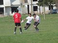 AFUCO6FC 115