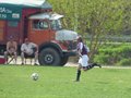 AFUCO6FC 031