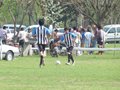 AFUCO6FC 094